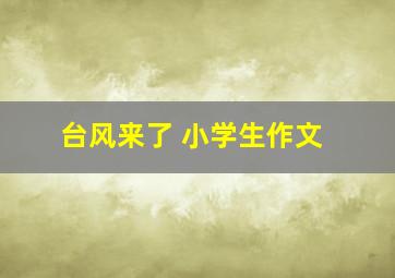 台风来了 小学生作文